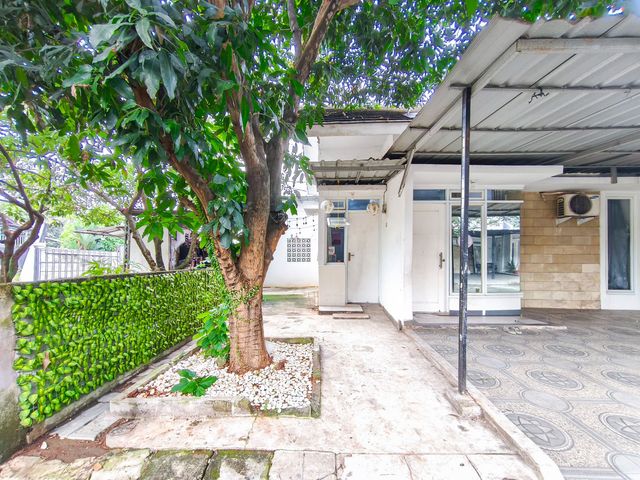 place photo 29