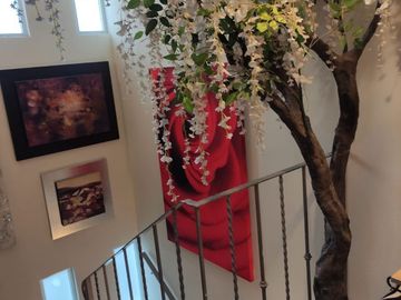 place photo 23