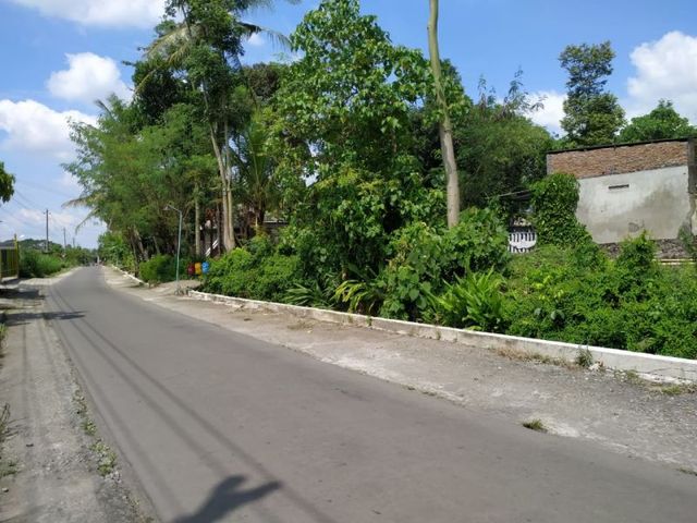place photo 6