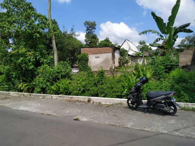 place photo 4
