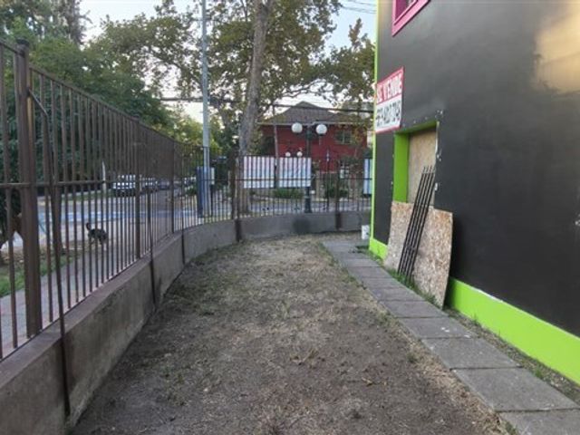 place photo 34
