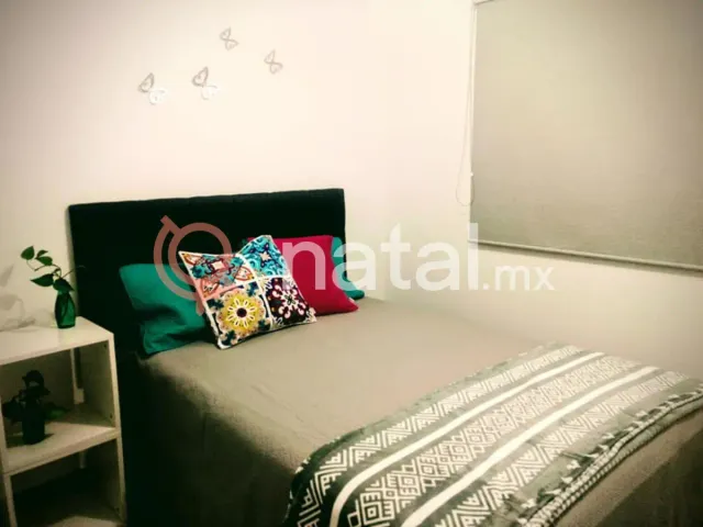place photo 16