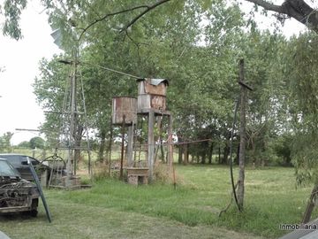 place photo 16