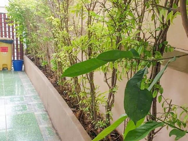 place photo 35