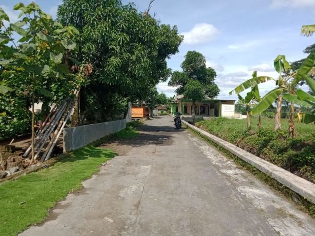 place photo 5