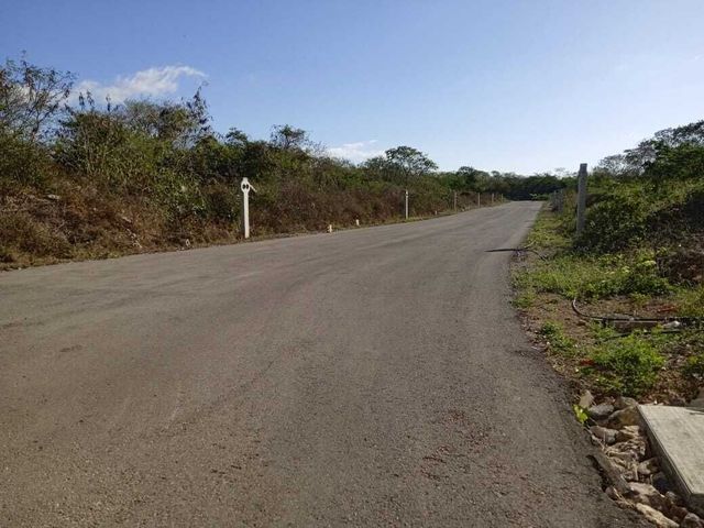 place photo 15