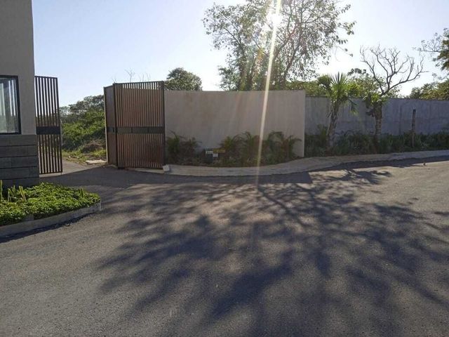 place photo 21
