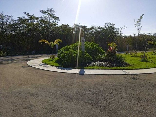 place photo 22