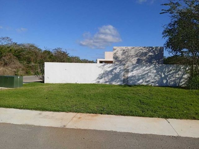 place photo 20