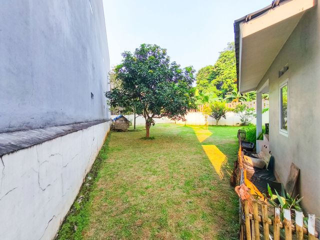 place photo 43