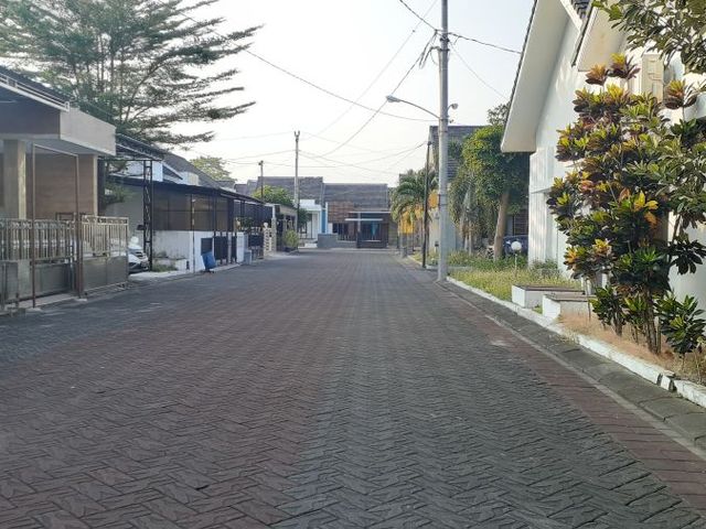 place photo 11
