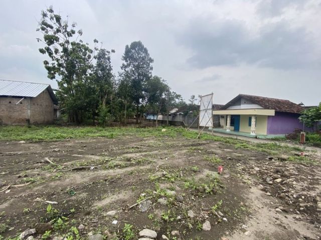 place photo 11
