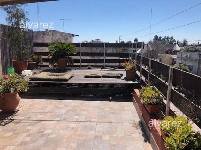 place photo 19