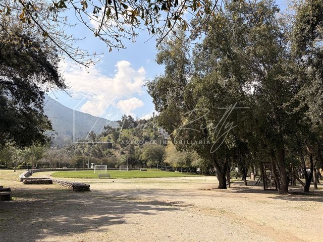 place photo 39