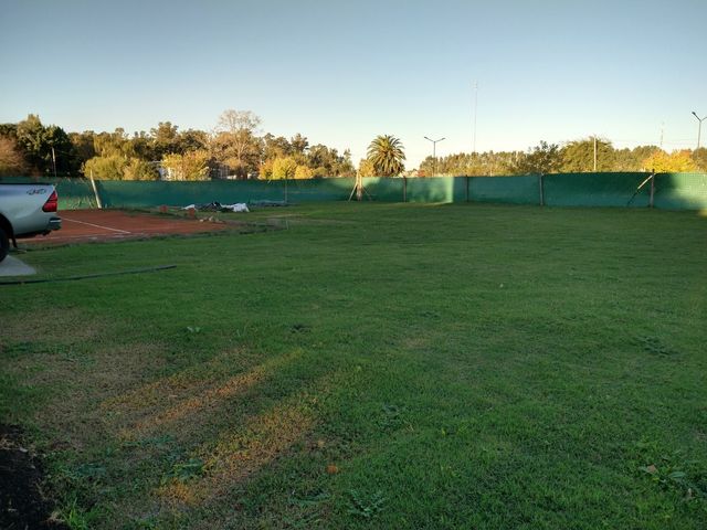 place photo 11