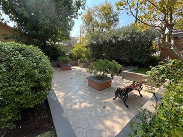 place photo 38