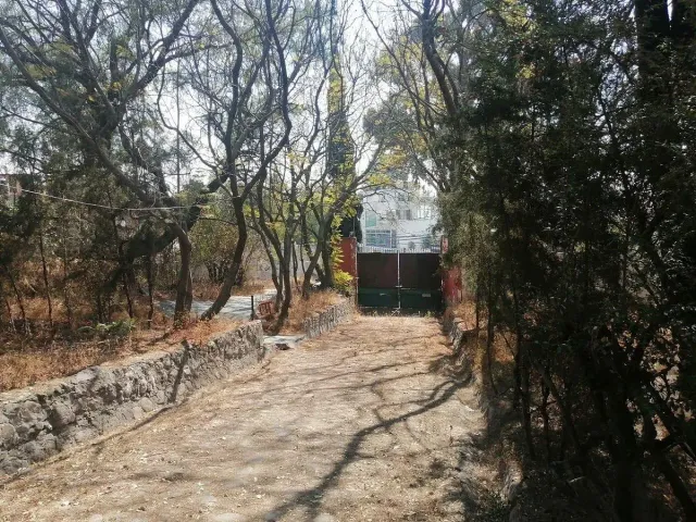place photo 6