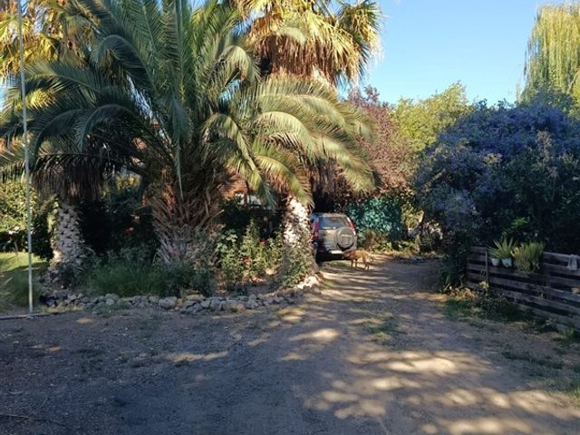 place photo 24