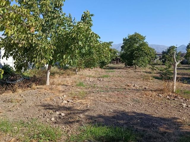 place photo 30