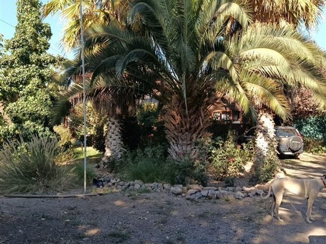 place photo 26