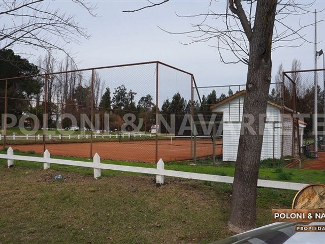 place photo 26