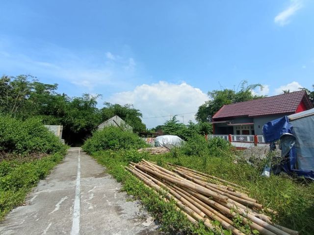 place photo 8