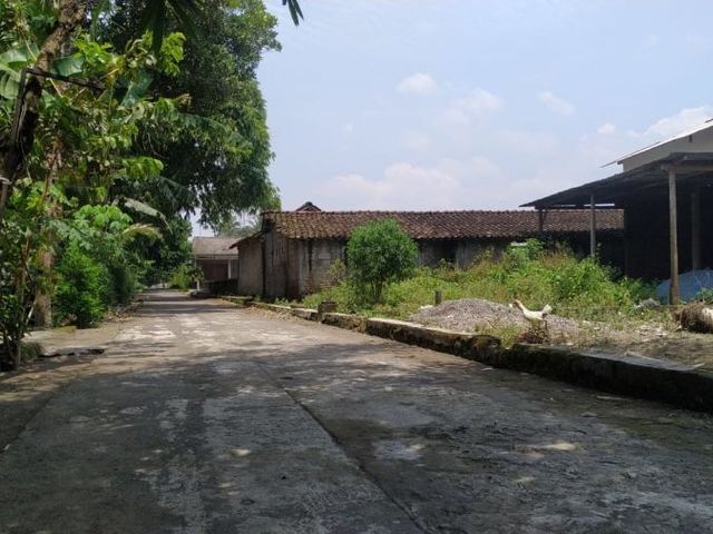 place photo 5