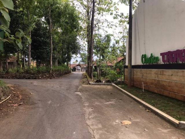 place photo 5