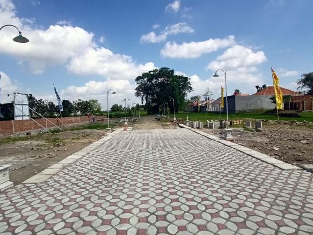 place photo 4