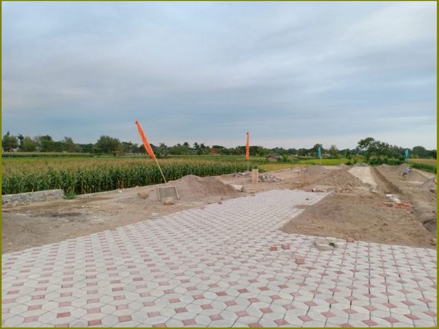 place photo 6