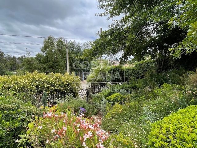 place photo 46
