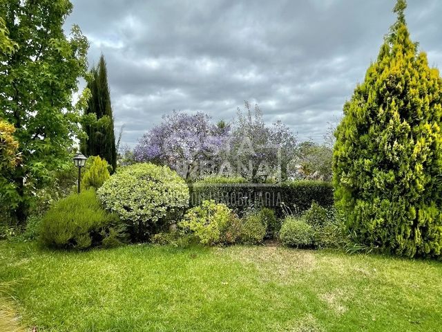 place photo 45