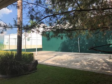 place photo 17