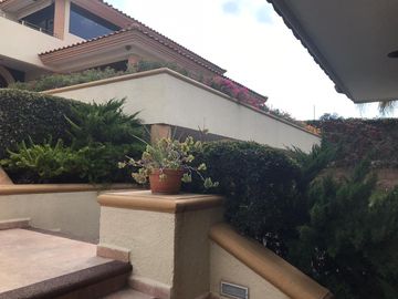 place photo 38