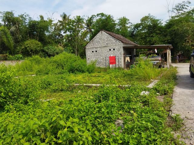 place photo 5
