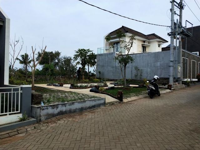 place photo 4