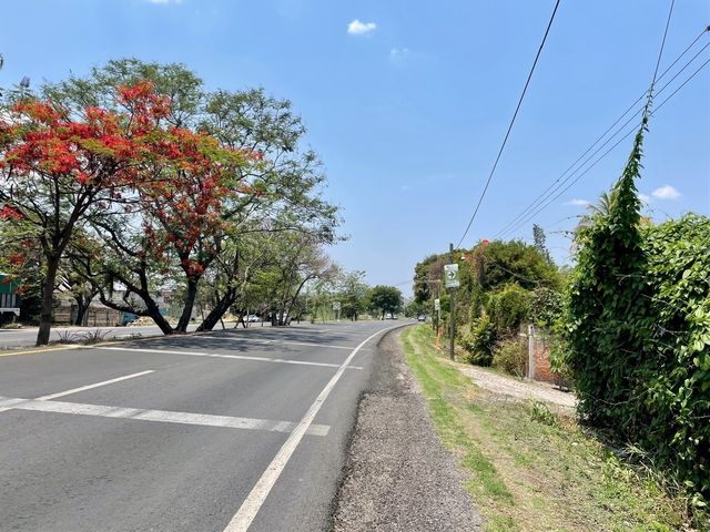 place photo 23