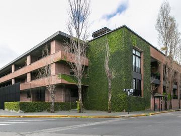 place photo 34