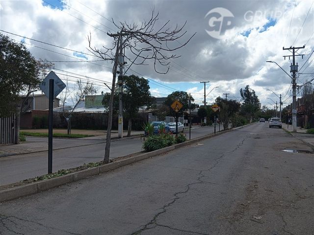 place photo 26