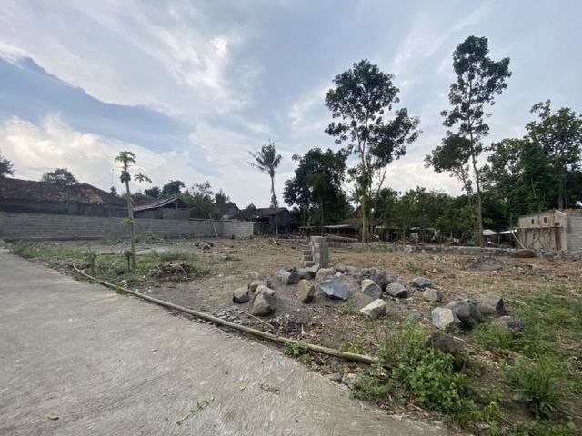 place photo 4
