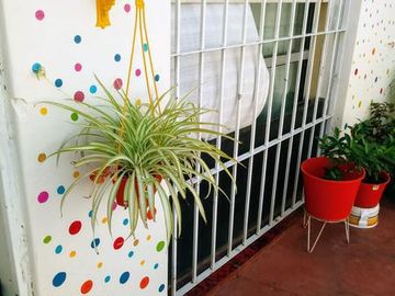 place photo 19