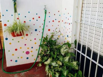 place photo 20