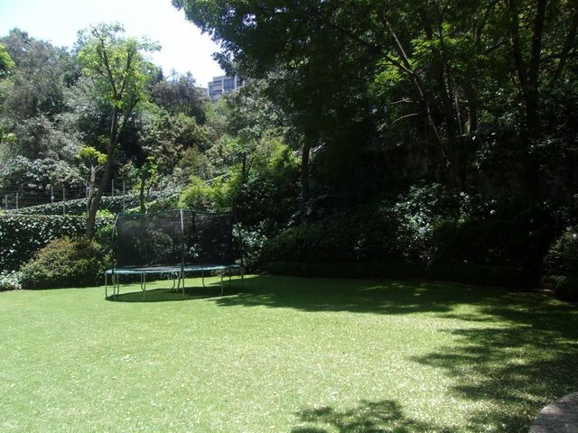 place photo 43