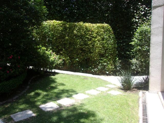 place photo 44