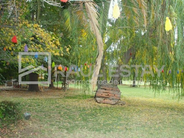 place photo 28