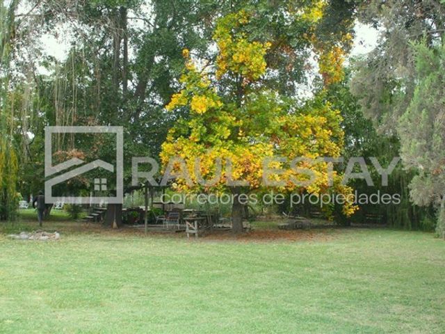 place photo 30