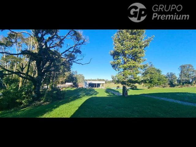 place photo 45