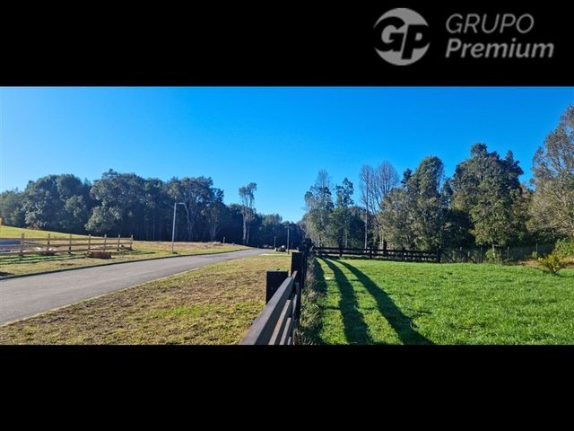place photo 52