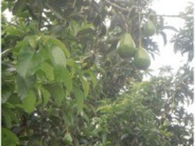 place photo 29