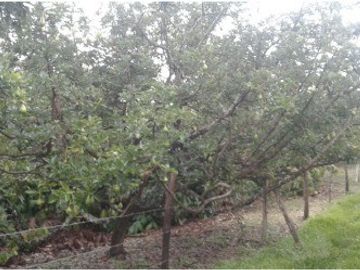 place photo 24
